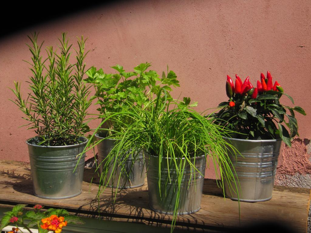Terre Del Cardinale Country Apartment *