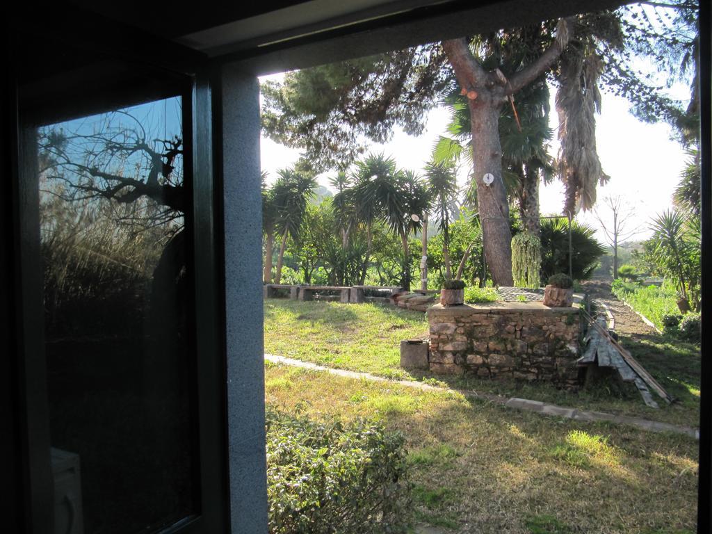 Terre Del Cardinale Country