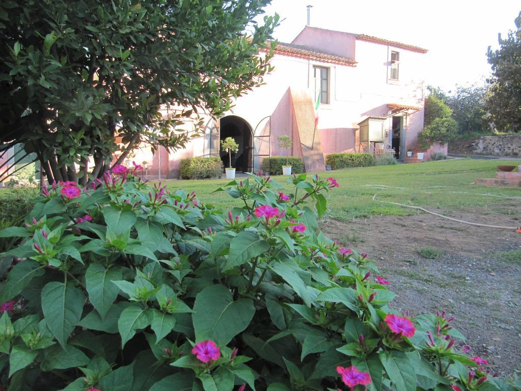Terre Del Cardinale Country Apartment *