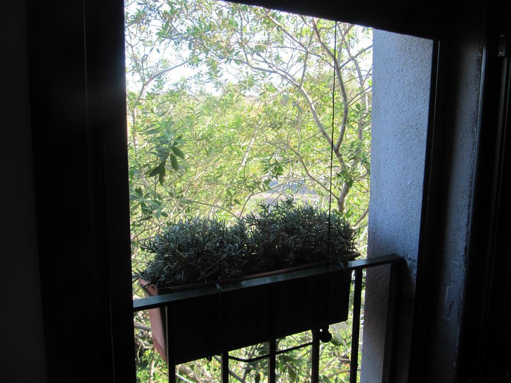 Terre Del Cardinale Country Apartment